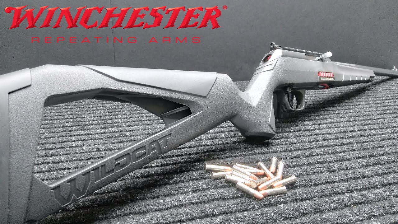 The Wildcat Is On The Prowl! Winchester Wildcat .22lr Rifle Unboxing, Opinion and Teardown