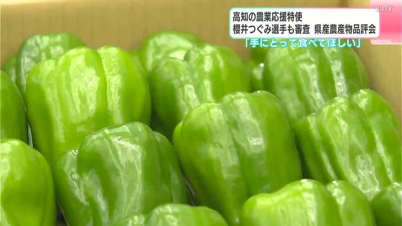 「たくさん手にとって食べてほしい」高知の農業応援特使・櫻井つぐみ選手も審査　県産農産物の品評会