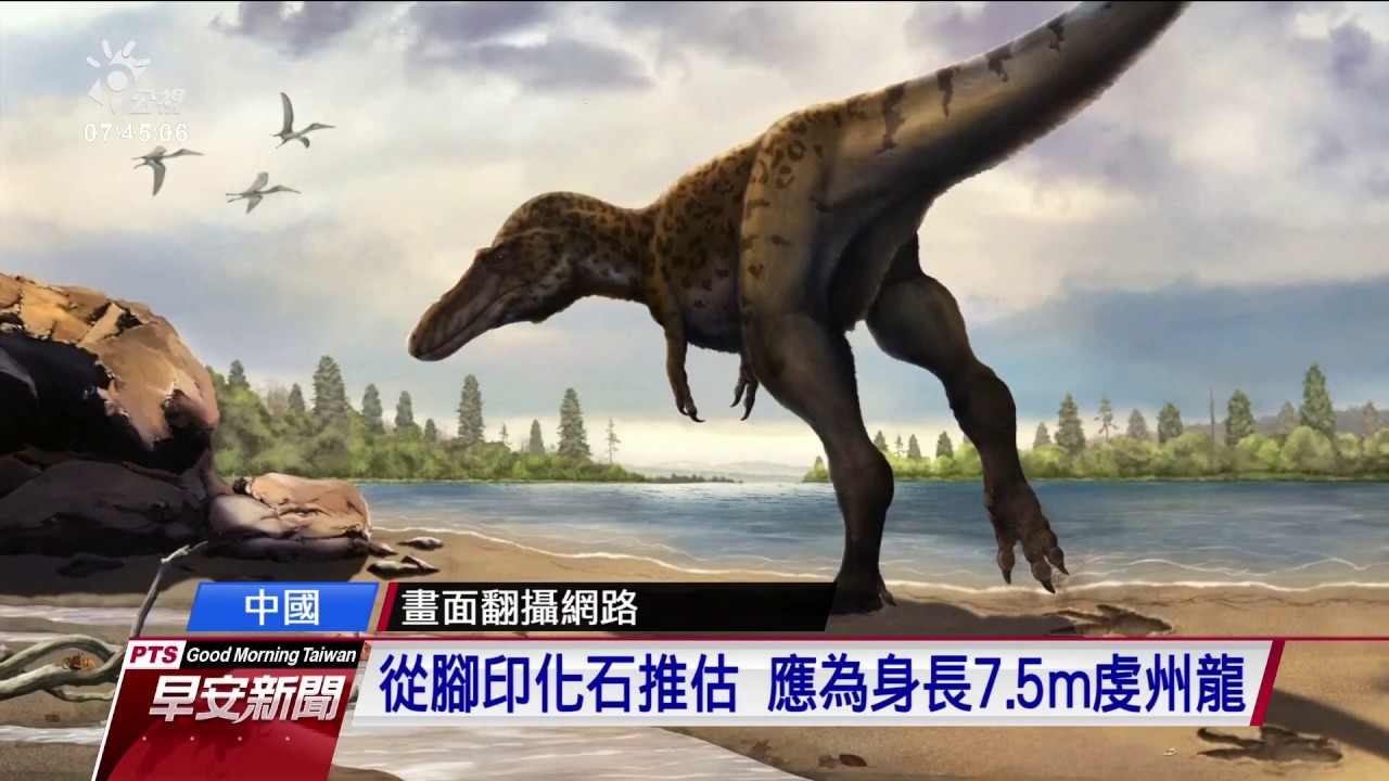 亞洲首見暴龍類化石江西出土 20190809 公視早安新聞