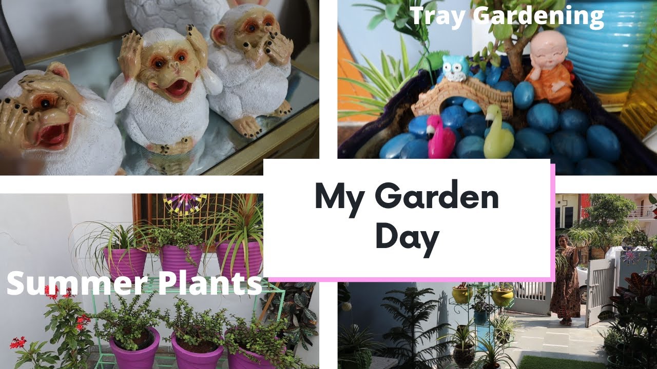 ट्रे गार्डनिंग का आसान तरीका || Balcony/Outdoor Decor Items   || Summer Plants || Tray Gardening