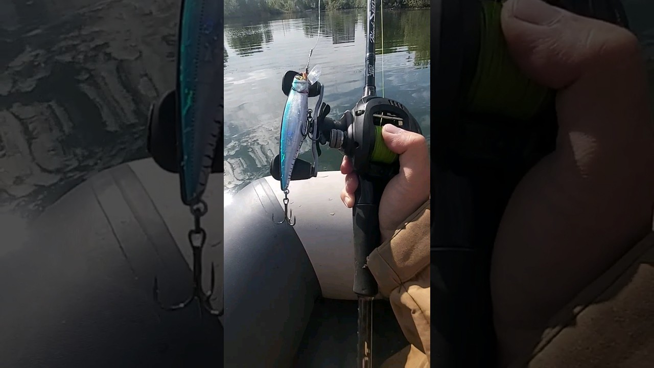 Новенький воблер Pontoon 21 Greeey Guts 111 SP #воблер #спининг #кастинг #твич #щука #поймалотпусти