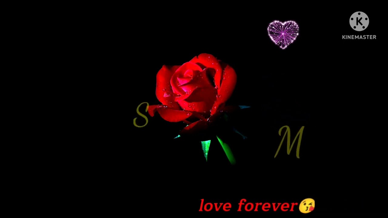 M❤S love status 😍//expression of love❤😘
