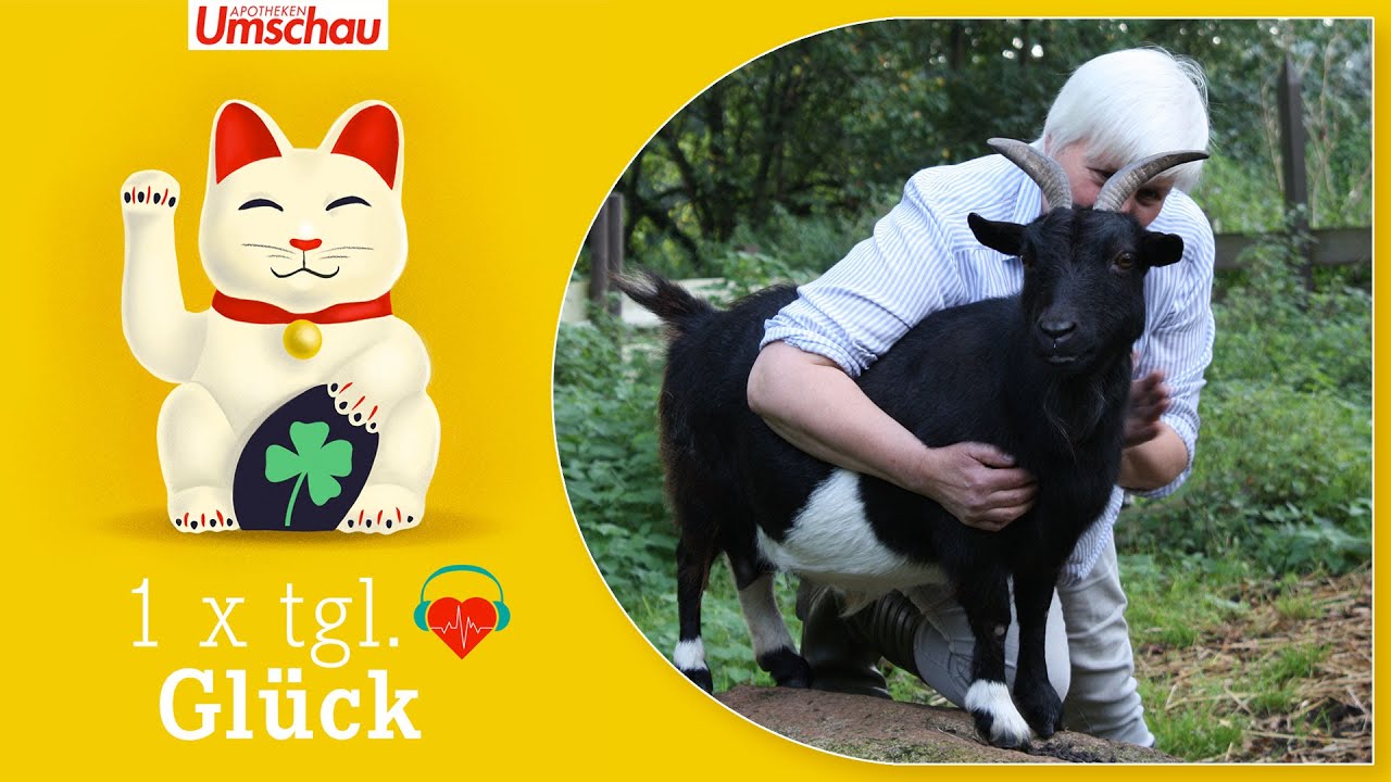 „Mit sich eins sein“ 🍀 Einmal täglich Glück - Folge 10 mit Maria Anna Leenen