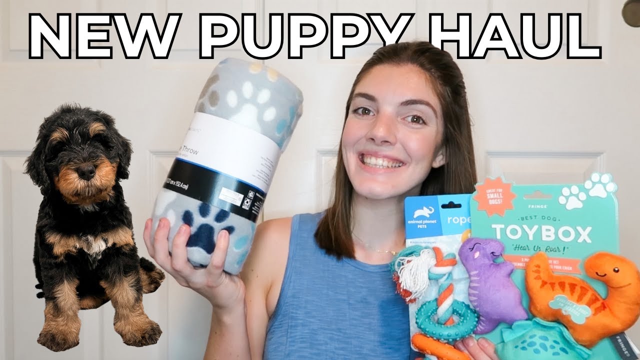 NEW PUPPY HAUL | everything i bought for my bernedoodle puppy