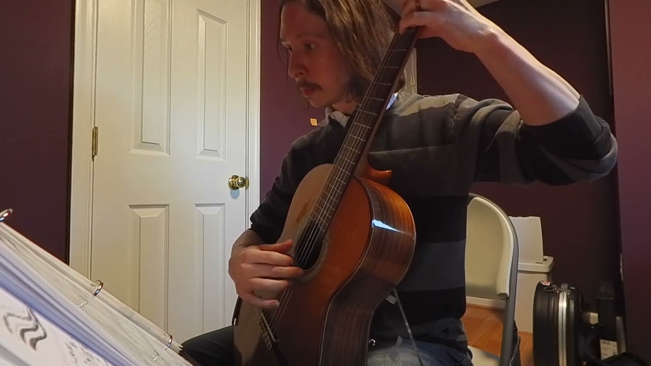 Snowflight - Andrew York