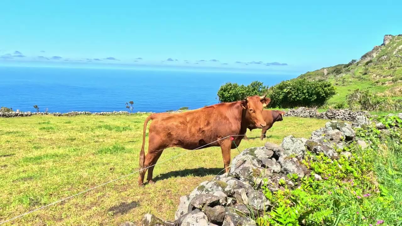 Azores Flores Island 4K.