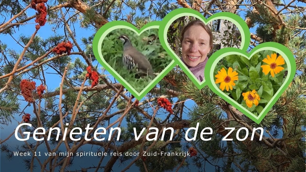 Lente in de Winter: Intuïtieve Wandelingen & Inzichten in Zuid-Frankrijk