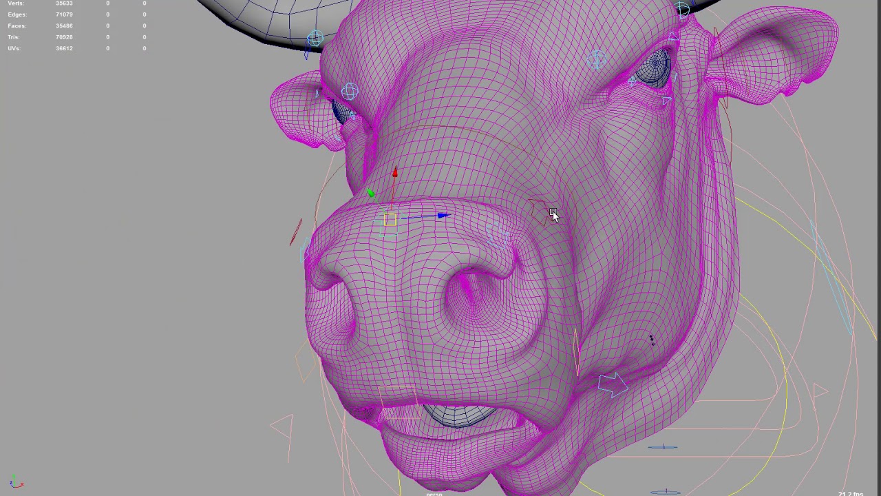 face rig of the bull