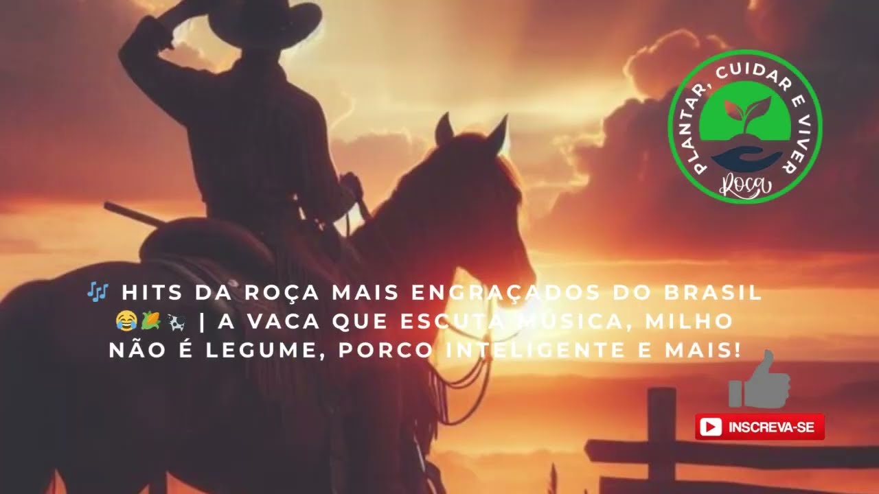 🎶 HITS DA ROÇA MAIS ENGRAÇADOS DO BRASIL 😂🌽🐄 PARTE 01