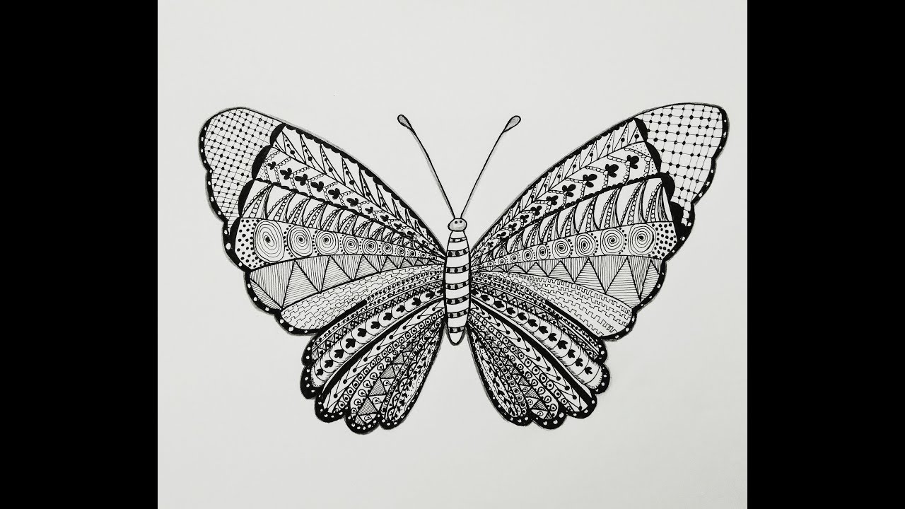 Zentangle Art | Butterfly Drawing | Time Lapse Video