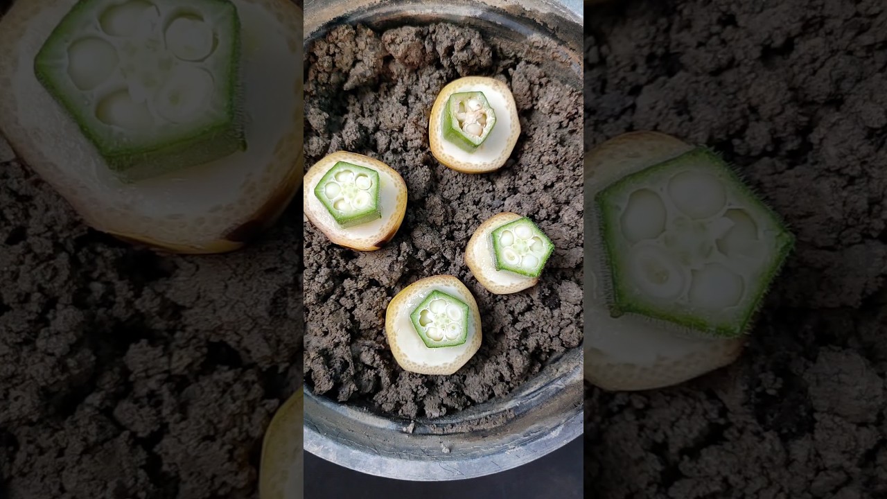 Easily grow hybrid Ledyfinger with banana/केले के साथ हाईब्रिड भिंडी आसानी से उगाएं🍌#short #shorts