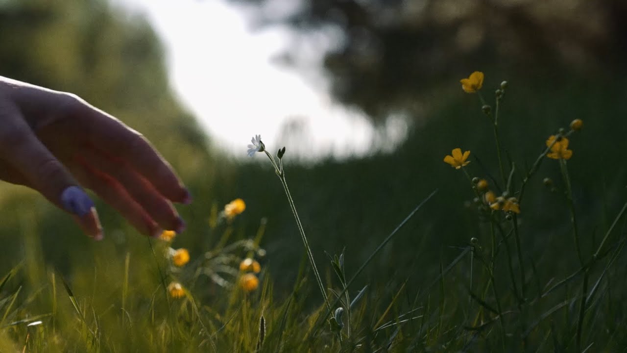 Kinny Zimmer - Jestem kwiatkiem