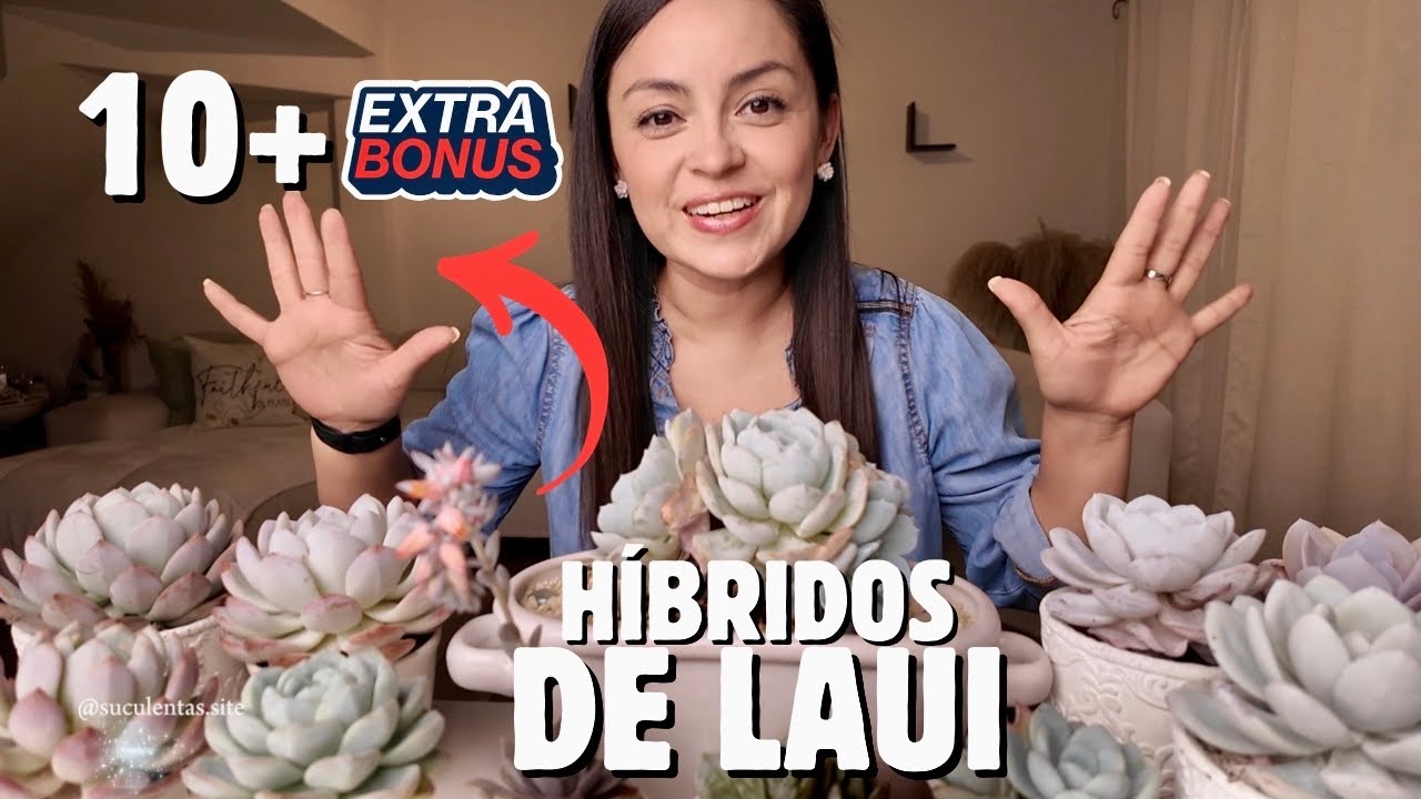 🤍RETO: 10 SUCULENTAS blanquitas y gorditas de mi colección