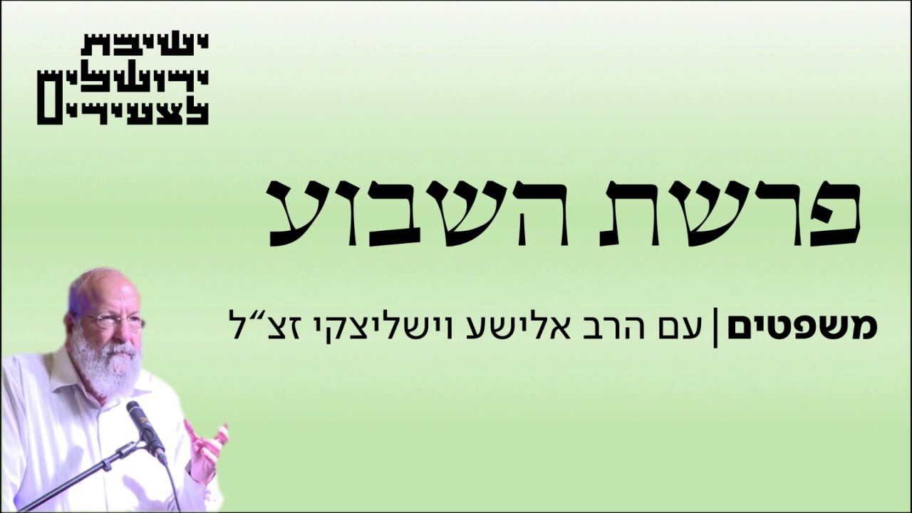 הרב אלישע וישליצקי זצ