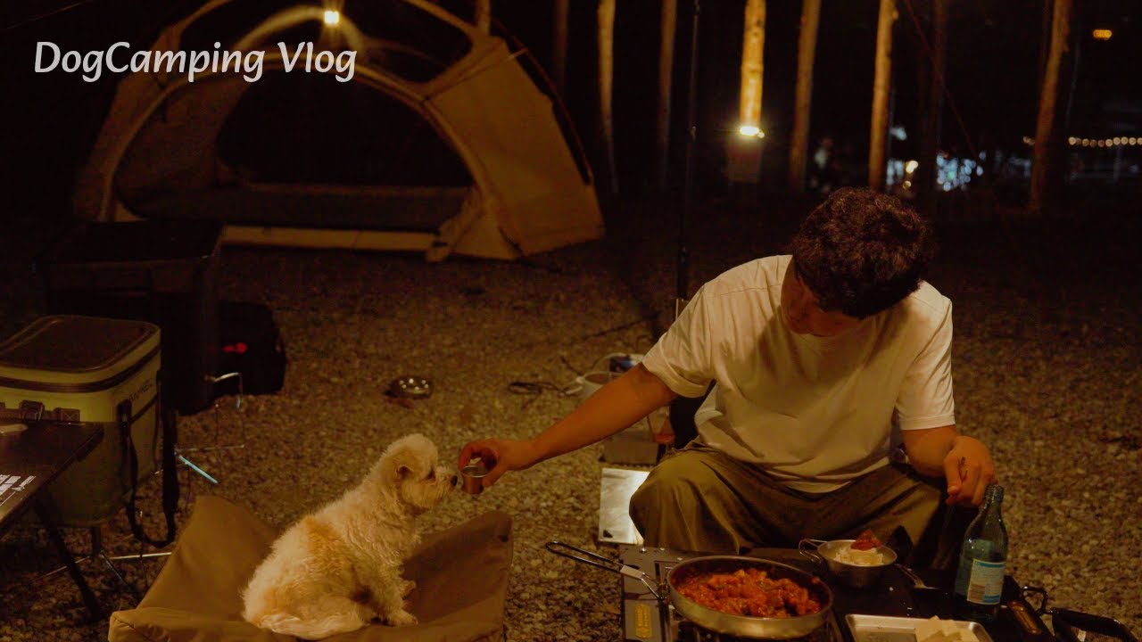 🍂A quiet camping trip with my dog ​​on an autumn night