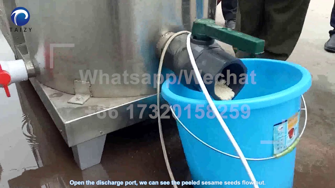 black sesame seed peeling machine/sesame cleaning machine/sesame seed cleaning process/sesame peeler