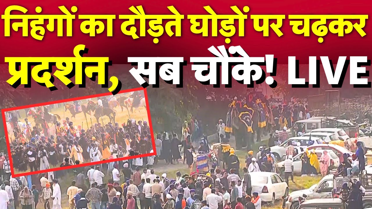Breaking News LIVE : निहंगों के बंदी छोड़ दिवस पर कार्यक्रम पर मची अफरा तफरी | Amritsar | Punjab News