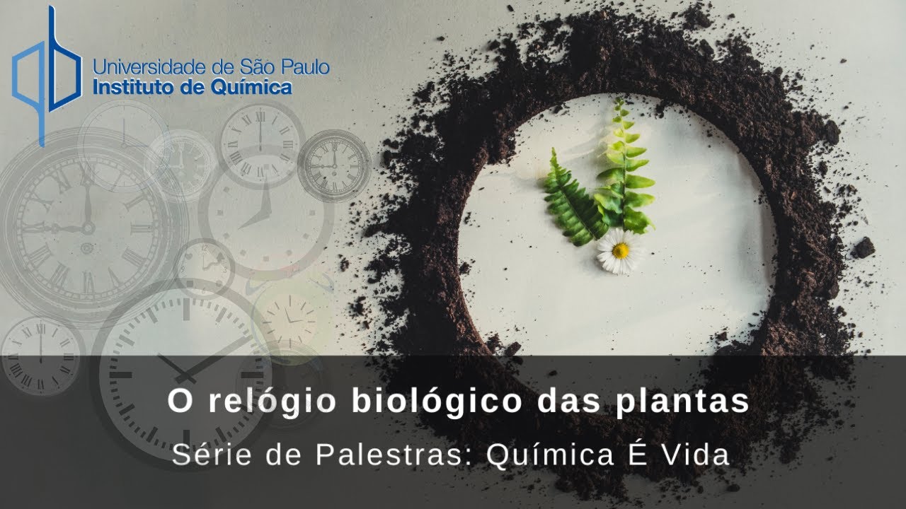 Química É Vida - O relógio biológico das plantas