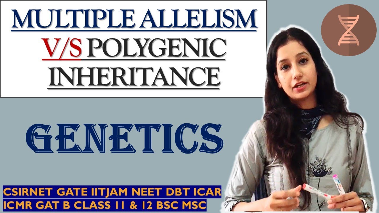 Difference between Multiple Allelism & Polygenic Inheritance Genetics I CSIRNET IITJAM NEET GATE