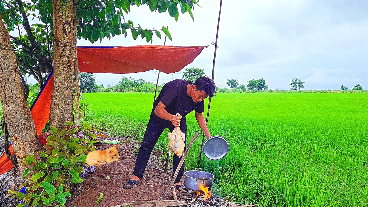 Camping in the rain, pitching a tent under a tree, sheltering from the rain, cooking