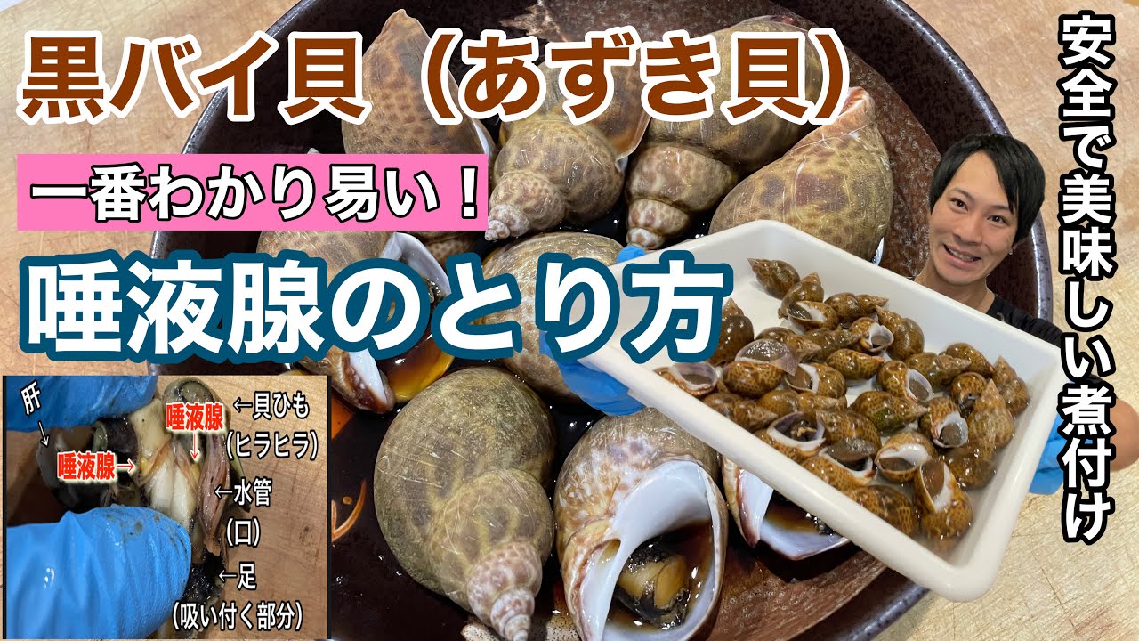 改良版【黒バイ貝】の一番分りやすい唾液腺の取り方☆安全な煮付けの作り方