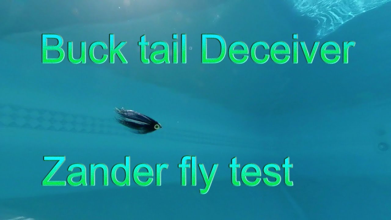 Buck tail Deceiver Zander Fly Test