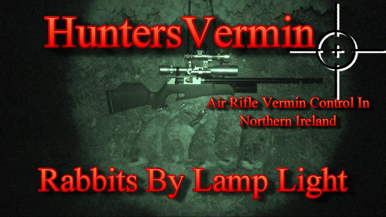 Air Rifle Hunting, Rabbits By Lamp Light