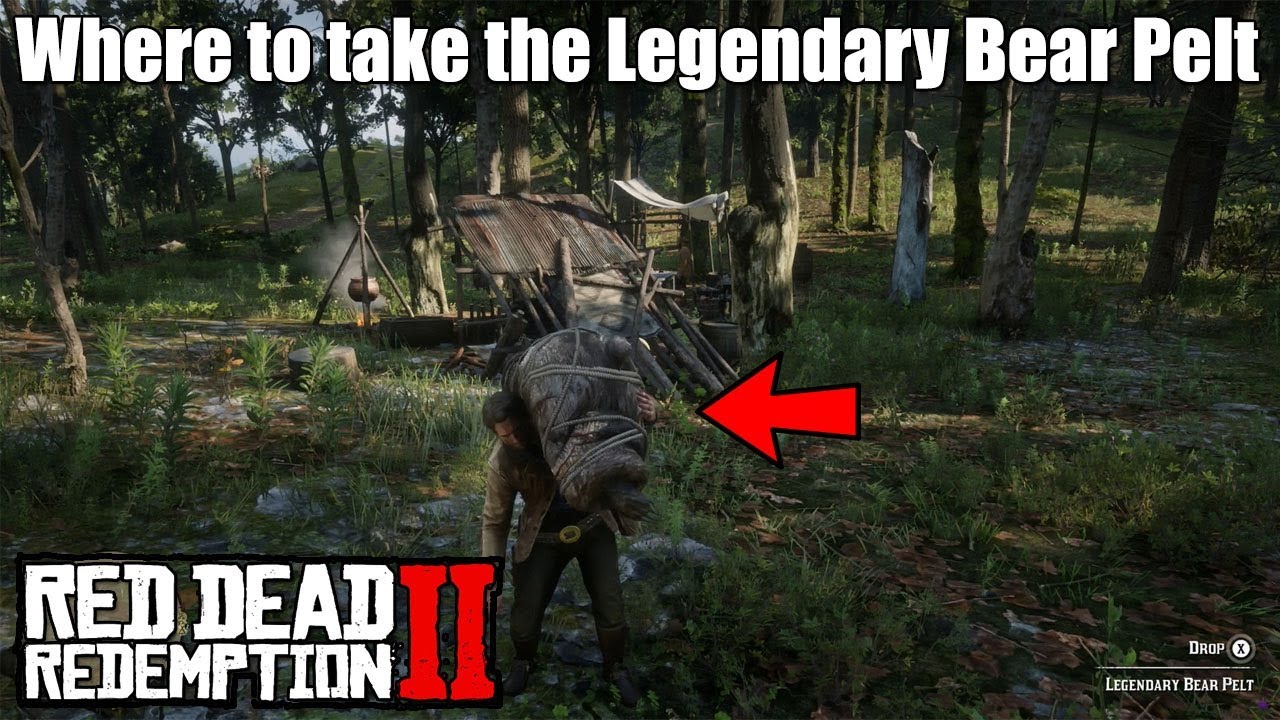 Where to take the Legendary Bear Pelt - Red Dead Redemption 2 - EASY!