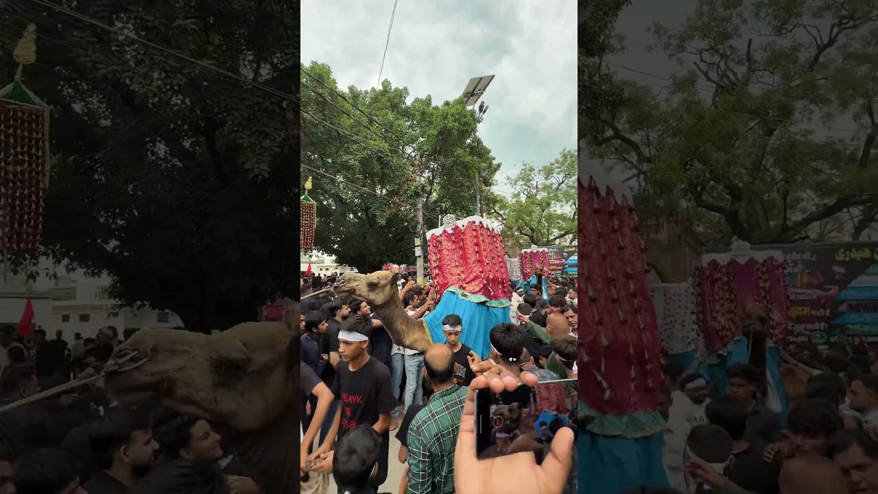 Naugawan Sadat Azadari 2025 #muharram #noha #azadari #matamdari #shortsfeed #viral #shorts
