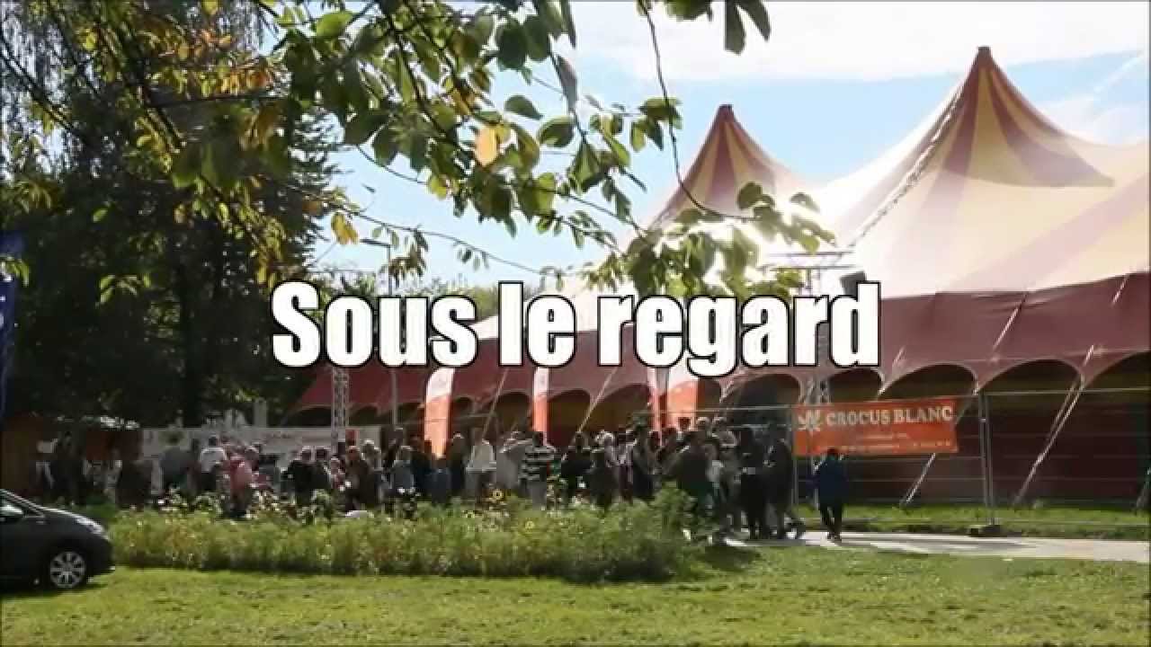 16ème Festival international du Cirque du Val d'Oise de Domont