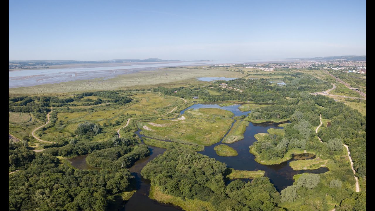 Llanelli Wetland Centre - You Don't Have To Go Far To Get Away
