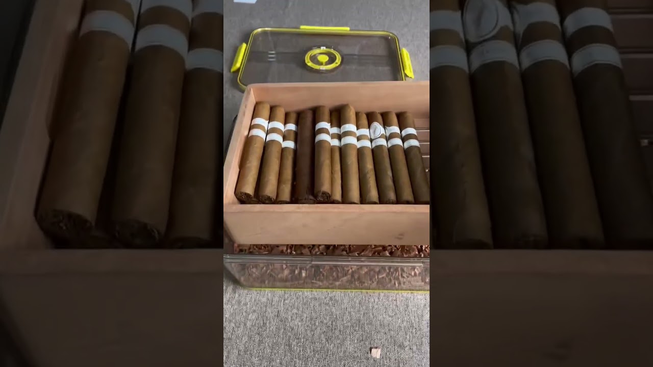 Budget-Friendly Cigar Storage | How to Perfectly Age Cigars in a Lock & Lock Box