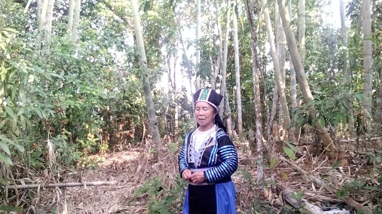 28 tháng 2, 2026