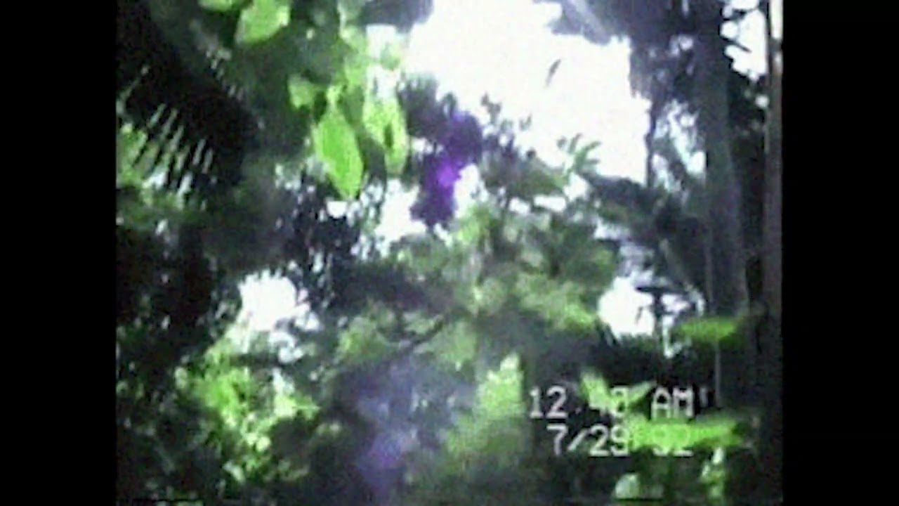[FREE FOR PROFIT] BONES TYPE BEAT 