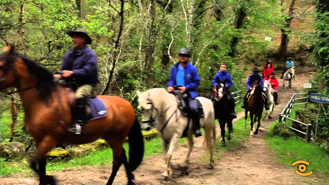 Noticia de Lugo: Éxito da I Ruta Cabalar da Ulloa