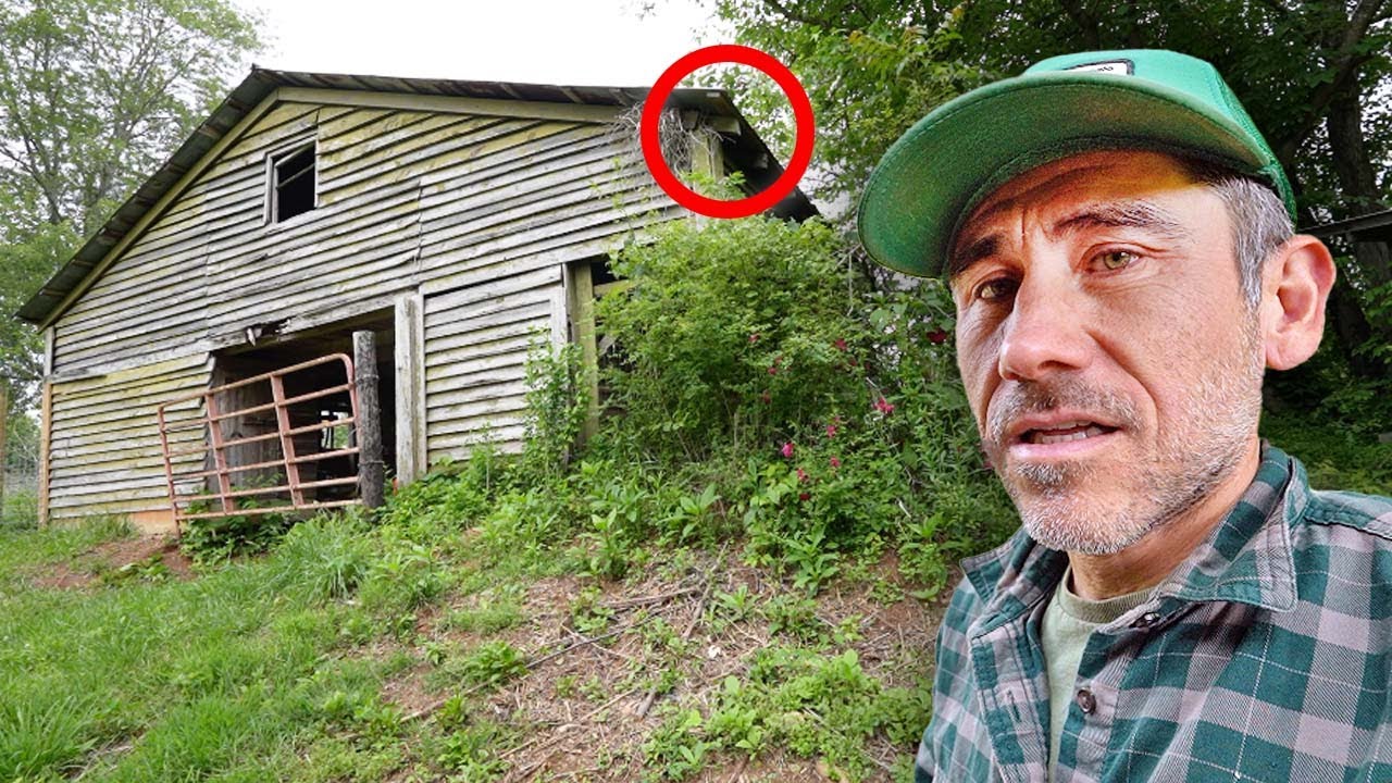 Can This Overgrown Old Barn Save Us Water for Fruit Trees
