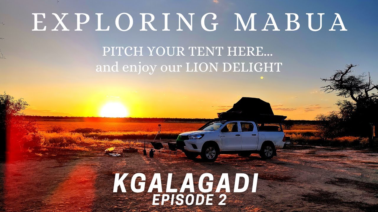 KGALAGADI | EXPLORING MABUA | PITCH YOUR TENT HERE | LION CUB DELIGHT