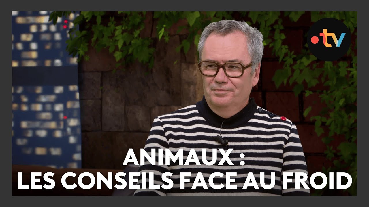 7 minutes avec Yannick Pérennes, vétérinaire