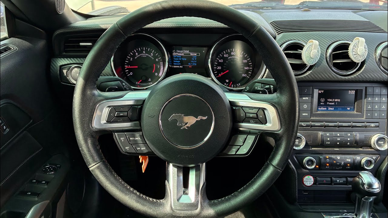 2016 Ford Mustang Convertible BUMBLE BEE CAT ASMR SLOW RELAXING POV DRIVING