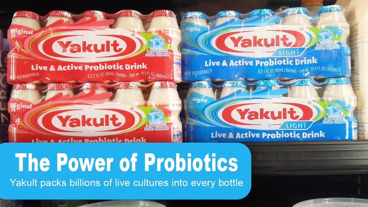 Yakult: The Live and Active Probiotic Drink | Cincy Lifestyle