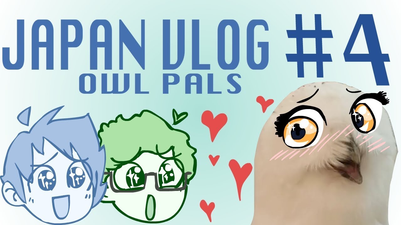 JAPAN VLOG #4 Owl Pals
