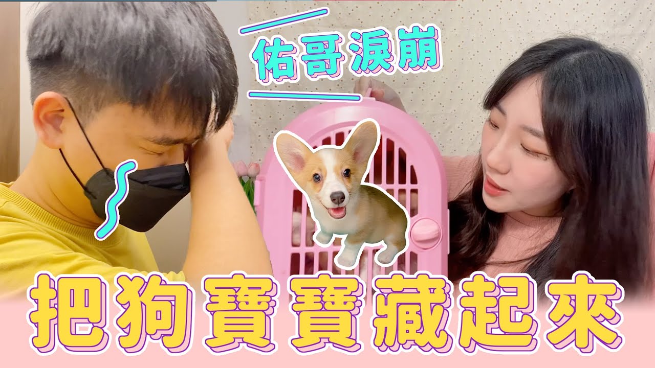 【整人計畫】把老公心愛的狗寶寶藏起來，佑哥找不到電梯間淚崩！【安奈萃萃】｜Couple Prank