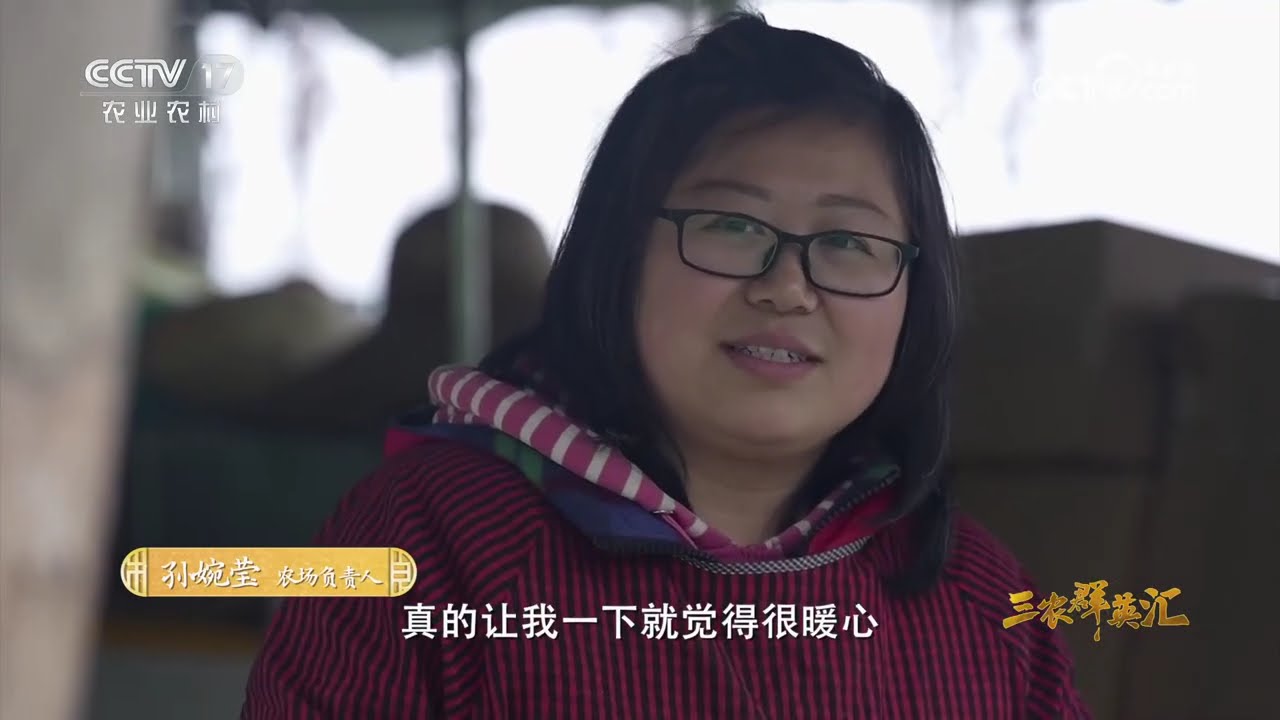 《三农群英汇》 20260207 城市夫妻的十年之约 | 农业致富经 Agriculture And Farming