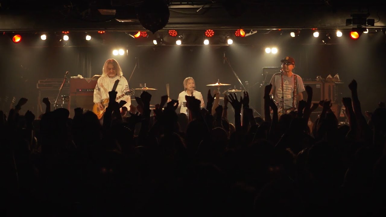 SPARKS GO GO「SAD JUNGLE」Live Video