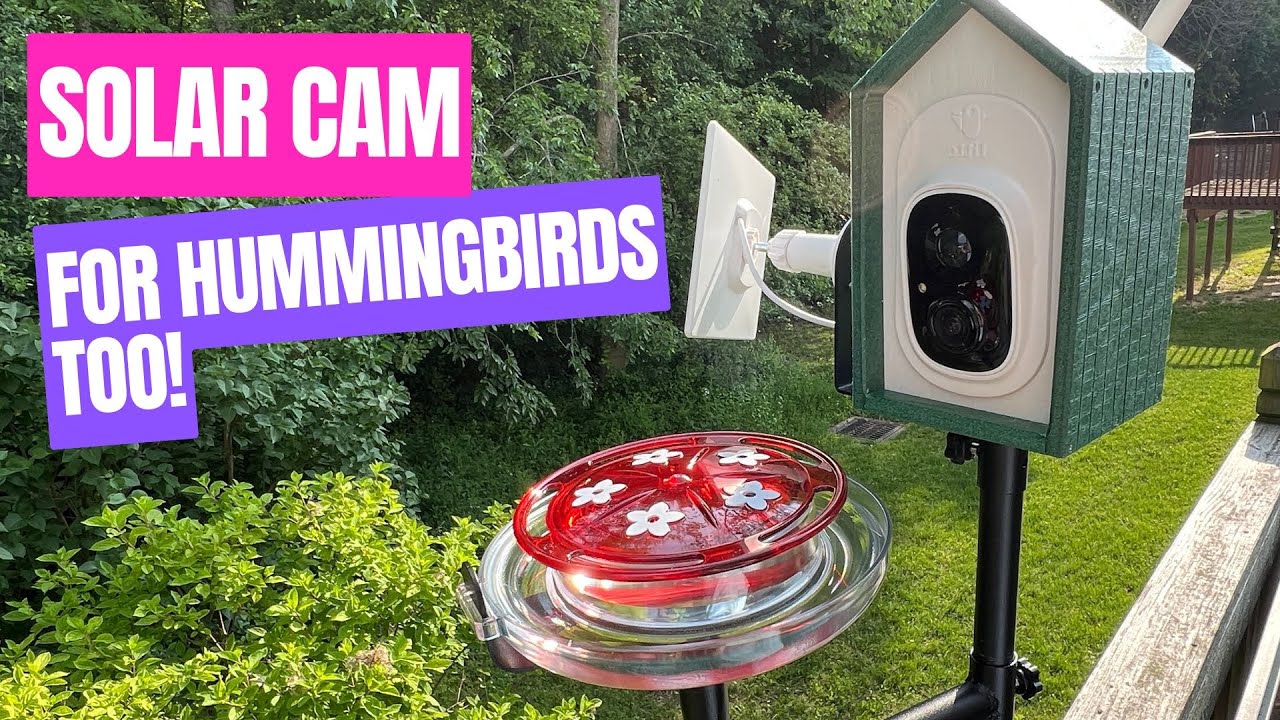 HONEST Review: Kingsyard Titto Solar Smart Bird Feeder with Camera (Hummingbird + App Test!)