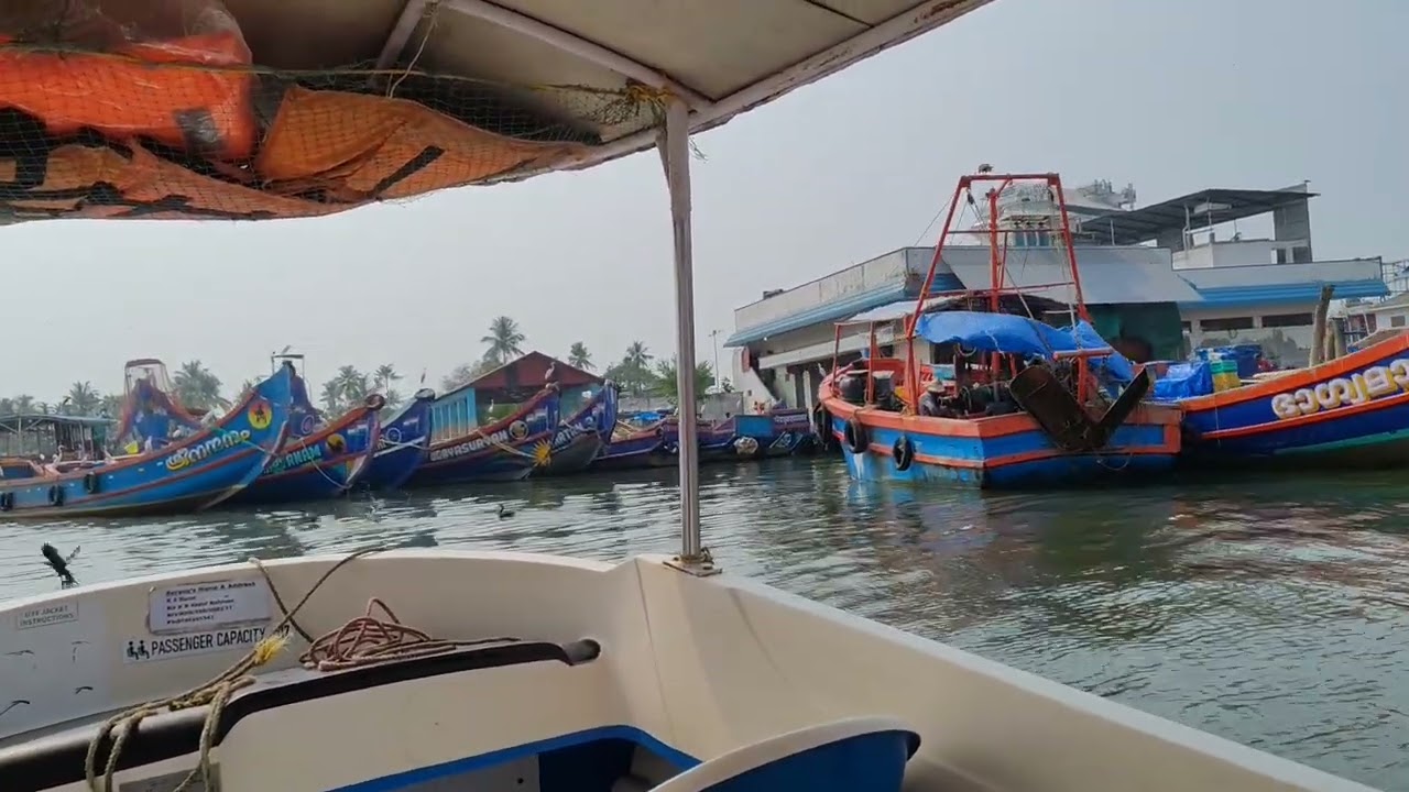 Kochi Backwaters Boat Ride | Feb, 2026