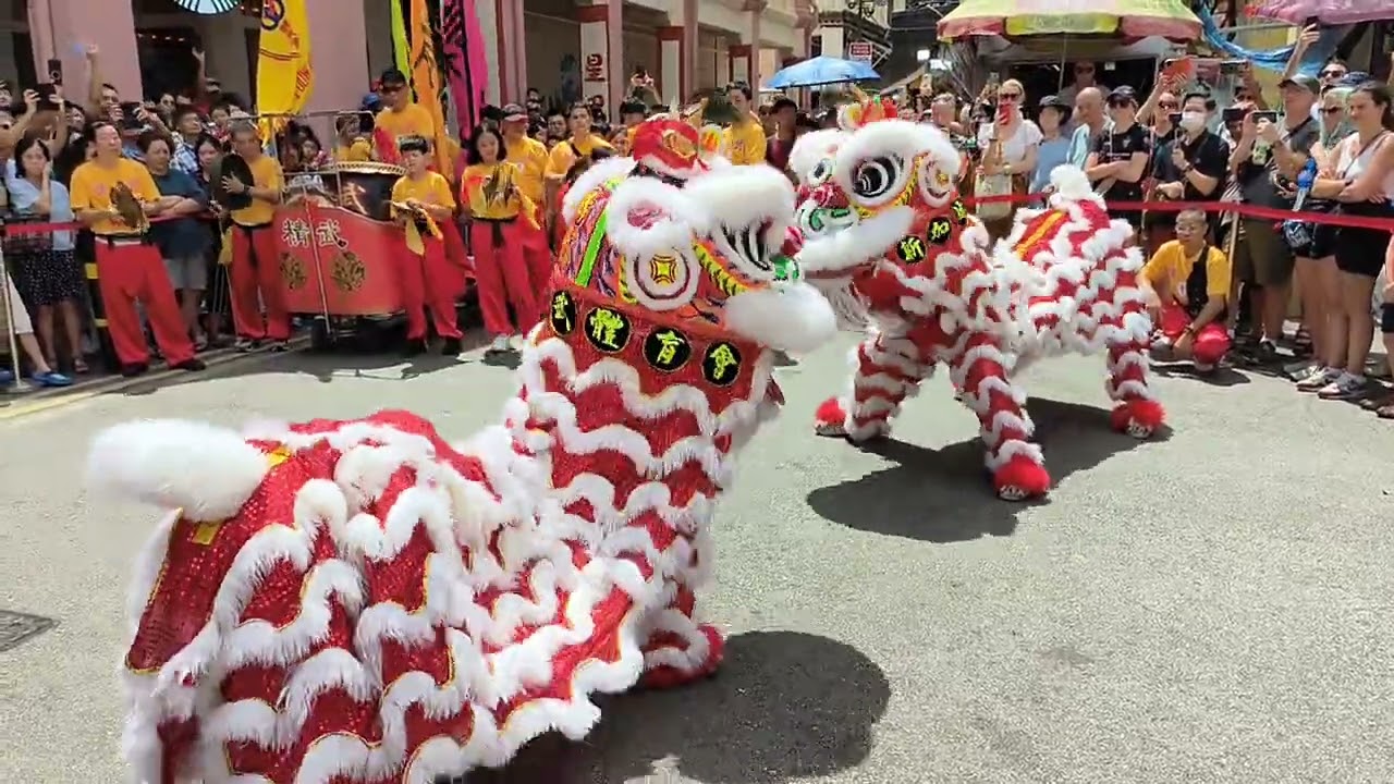 Lion dance @ Singapore China Town 24 Jan 2026 牛车水舞狮。精武体育馆