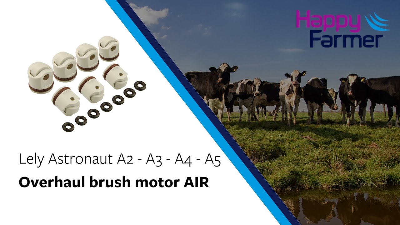 Overhaul brush motor AIR - Lely A2, A3, A4 and A5