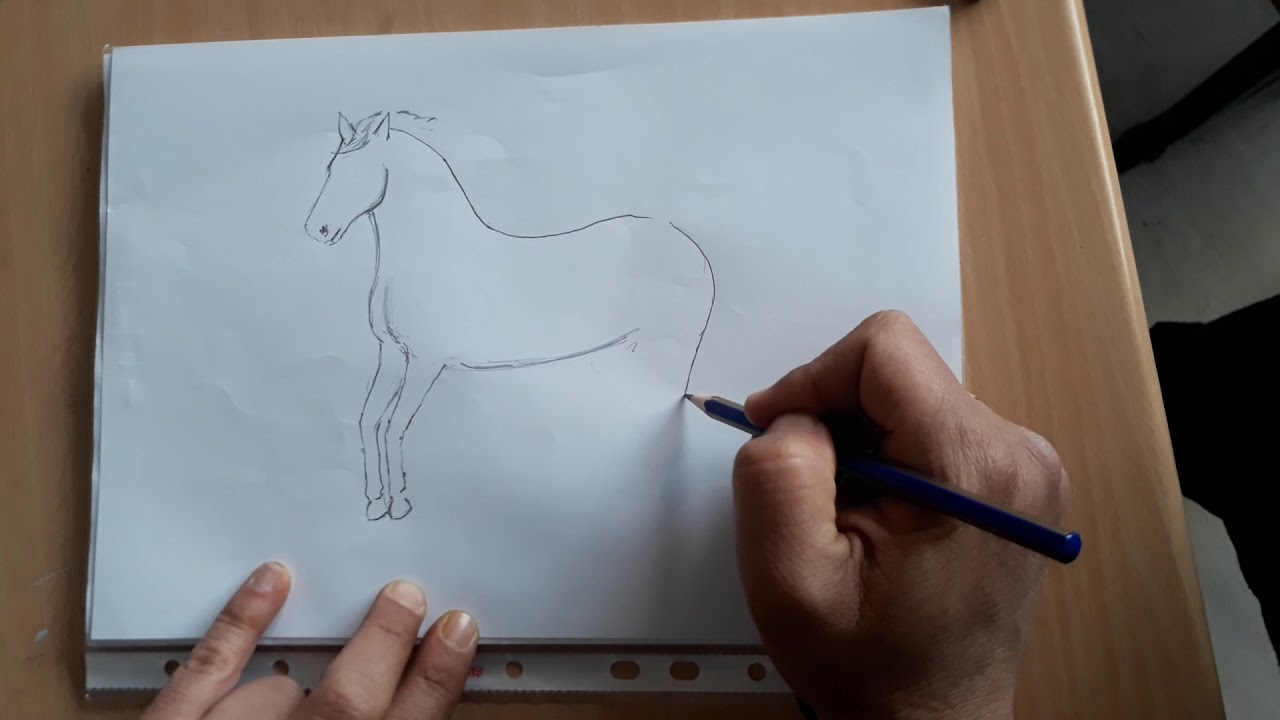 Kolay At &Ccedil;izimi I Easy Horse Drawing