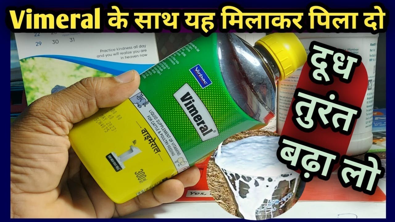 Vimeral Liquid के साथ यह मिलाकर पिला दो👌||दूध बढ़ा लो👍||Vimeral mein ye milakar do/Milk Increase